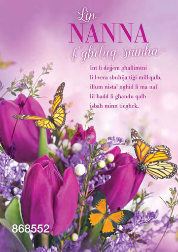 Picture of LIN-NANNA FGHELUQ SNINHA